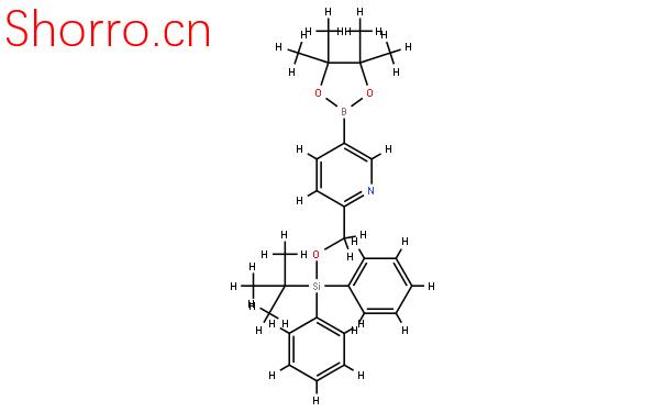 2-(叔丁基二基錫)氧基甲基-吡啶-5-硼酸頻那醇酯結(jié)構(gòu)式圖片|1032758-84-1結(jié)構(gòu)式圖片