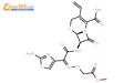 頭孢克肟甲酯